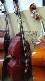 Tololoche-fino-foto-17